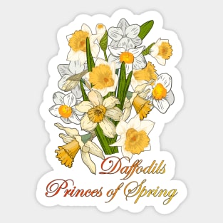 Daffodils-Princes of Spring-Spring Flowers Daffodils-Spring flower Sticker